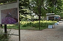 _DSF6585