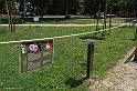 _DSF6851