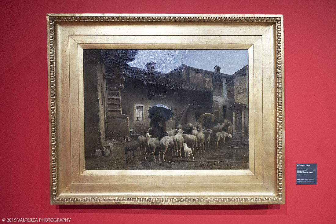 _DSF1130.jpg - 18-12-2019. Torino. La riscoperta della "Fiera di Saluzzo"  di Carlo Pittara. La maestosa opera presentata nel 1880 alla IV Esposizione Nazionale di Belle Arti di Torino, che rievoca una fiera seicentesca con animali, ambientata poco fuori le mura di Saluzzo, dalle dimensioni monumentali: 4,08 metri di altezza per 8,11 metri di larghezza. Nella foto Crlo Pittara, Ritorno alla stalla (La ritirata)