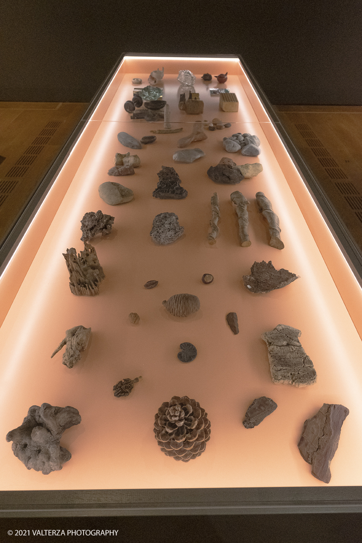 _DSF2699.jpg - 27/047/021. Torino. Alla Pinacoteca Agnelli in mostra foto, ritagli, dipinti, disegni, manufatti tribali racccolti in giro per il mondo , collezioni ed opere che hanno ispirato il grande architetto, la prima archistar. Nella foto teca della sala n.5 dove sono raccolte la maggior parte delle collezioni.