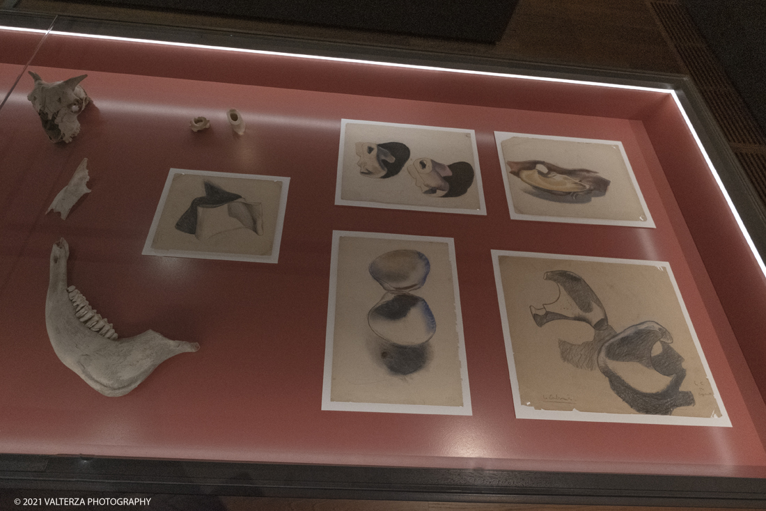 _DSF9937.jpg - 27/047/021. Torino. Alla Pinacoteca Agnelli in mostra foto, ritagli, dipinti, disegni, manufatti tribali racccolti in giro per il mondo , collezioni ed opere che hanno ispirato il grande architetto, la prima archistar. Nella foto teca della sala n.5 dove sono raccolte la maggior parte delle collezioni.