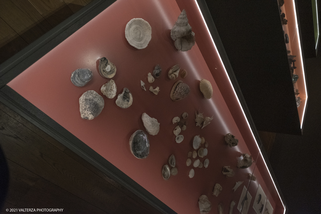 _DSF9943.jpg - 27/047/021. Torino. Alla Pinacoteca Agnelli in mostra foto, ritagli, dipinti, disegni, manufatti tribali racccolti in giro per il mondo , collezioni ed opere che hanno ispirato il grande architetto, la prima archistar. Nella foto teca della sala n.5 dove sono raccolte la maggior parte delle collezioni.