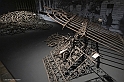 _DSF1177