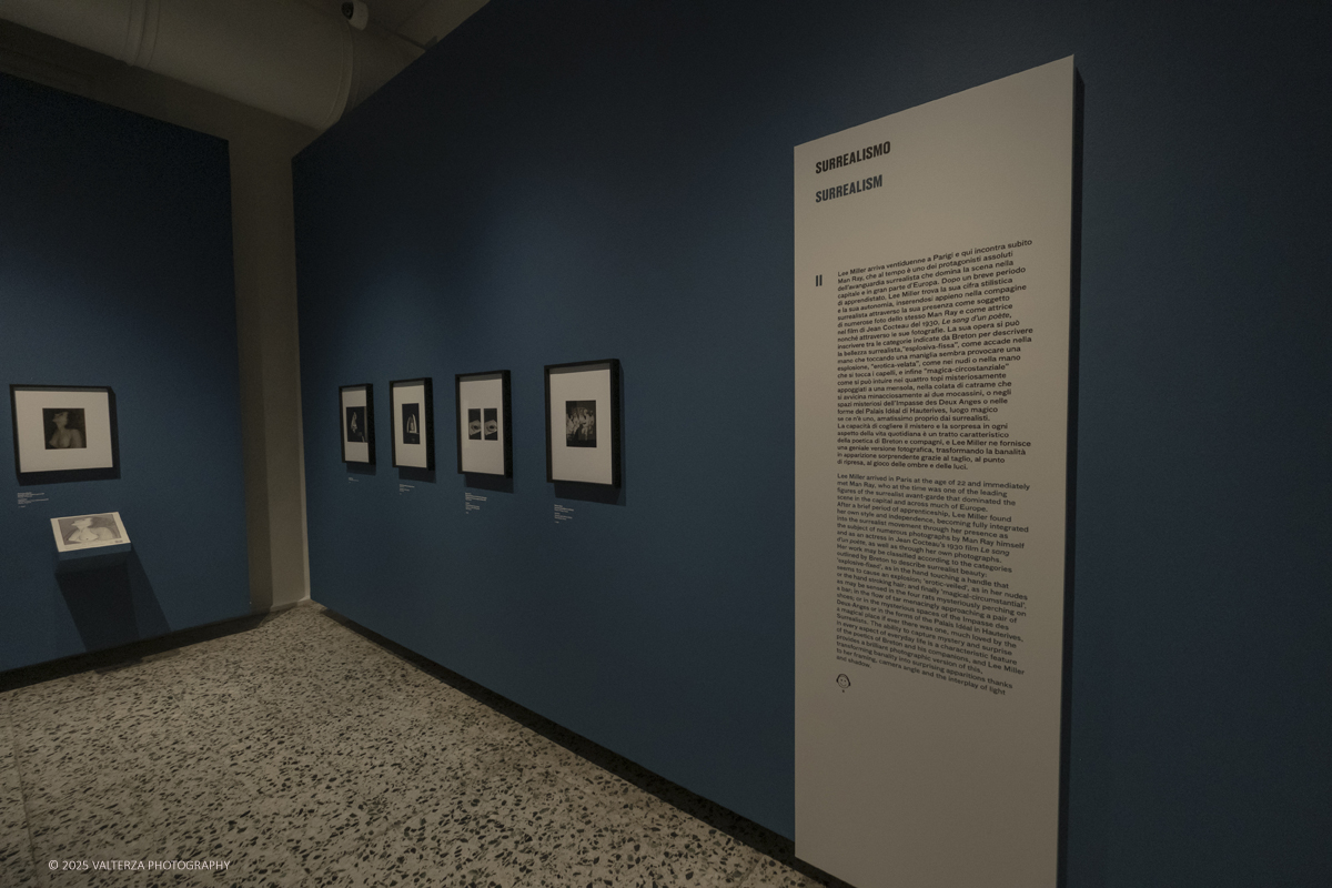 _DSF2023.jpg - 30/09/2025. Torino.  Un viaggio in 160 immagini, tutte provenienti dai Lee Miller Archives, per riscoprire gli infiniti sguardi della straordinaria fotografa americana. Nella foto parte dell'allestimento della mostra