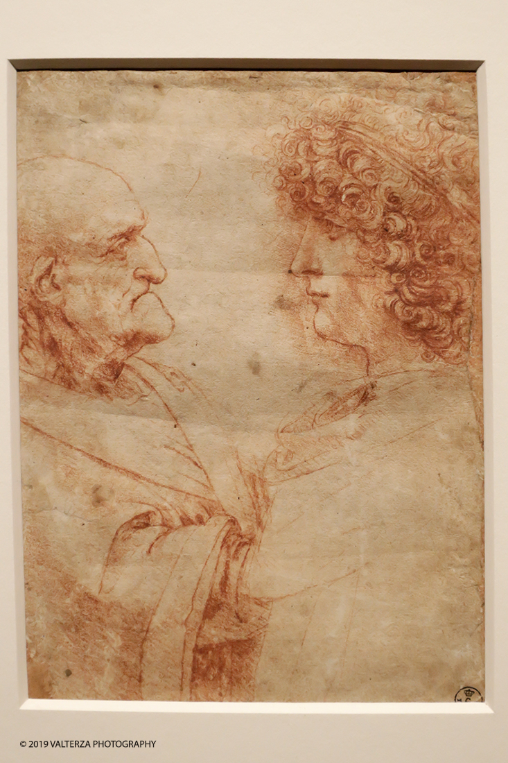 _G3I1955.jpg - 15/04/2019. Torino. La Mostra celebra i cinquecento anni della morte di Leonardo.Il percorso ruota interno al nucleo di disegni autografidi Leonardo da VInci conservati alla Biblioteca reale di Torino. Nella foto busti di vecchio e giovane affrontati con teste di profilo circa 1493