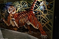 _DSF5674