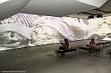 _DSF5979