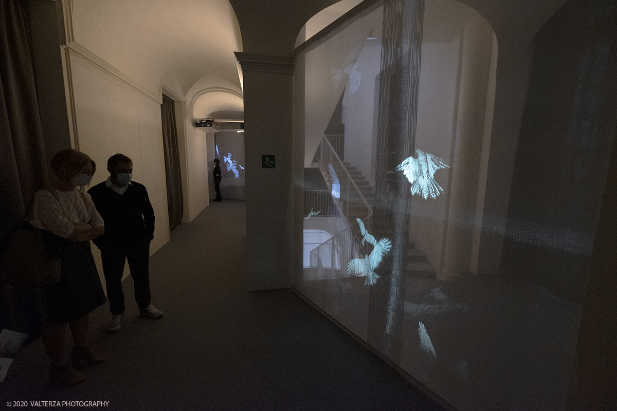 _DSF7199.jpg - 30/09/2020. Venaria Reale. L'intenzione della mostra, con piÃ¹ di 200 immagini e quattro video, Ã¨ di permettere al valutatore di riflettere su alcuni momenti cruciali della storia recente, attraverso gli occhi del fotografo. Nella foto installazione audiovisiva