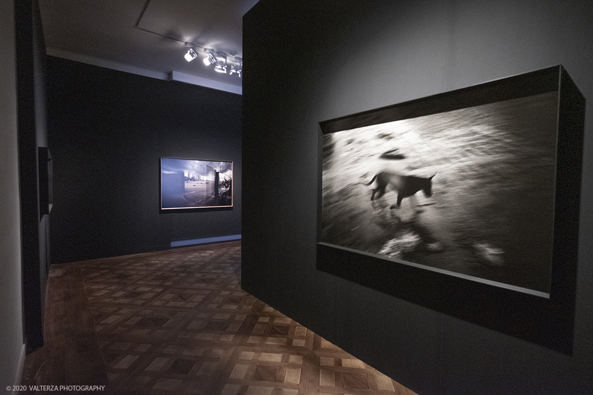 _DSF7444.jpg - 30/09/2020. Venaria Reale. L'intenzione della mostra, con piÃ¹ di 200 immagini e quattro video, Ã¨ di permettere al valutatore di riflettere su alcuni momenti cruciali della storia recente, attraverso gli occhi del fotografo. Nella foto un cane vagola per le strade di banda Aceh dopo lo tsunami, Sumatra 2005