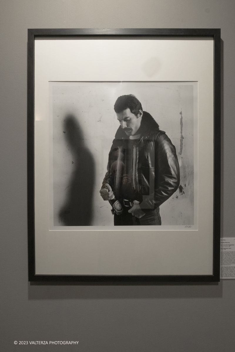 _DSF8647.jpg - 05/04/2023. Torino. La mostra Peter Hince  Queen Experience.,  documenta il fruttuoso rapporto di amicizia e lavoro tra l'artista londinese e la formazione capitanata dal compianto Freddie Mercury  con oltre sessanta scatti realizzati dall'amico e collaboratore della band Peter Hince ,arricchiti da un centinaio di cimeli, poster, dischi e filmati d'epoca. Nella foto Freddie mercury con un birra, 1981