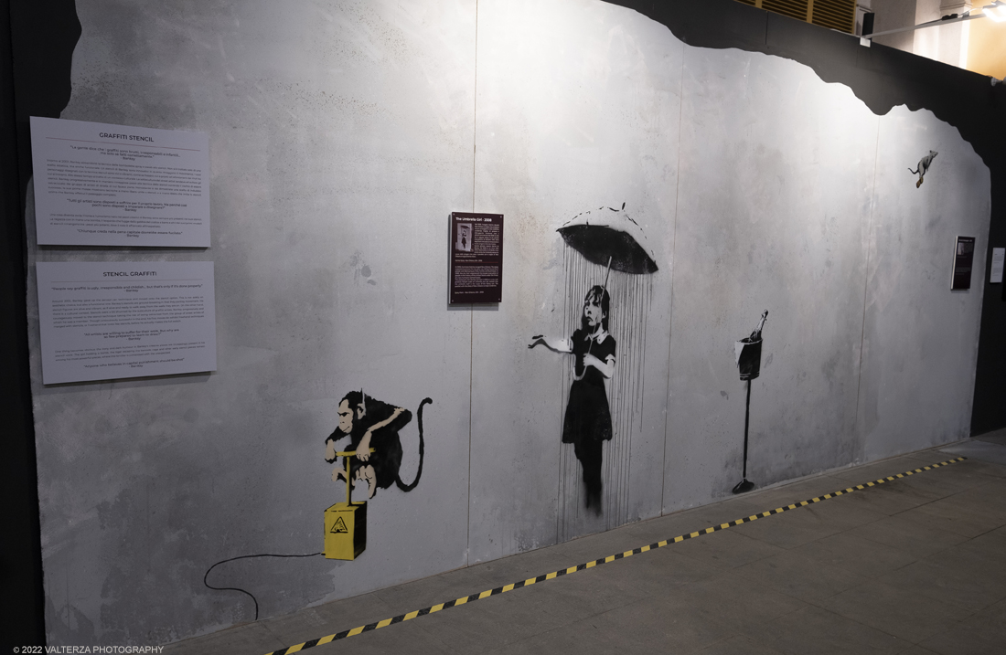 _DSF4593.jpg - 24/02/2022. Torino. Il percorso della mostra presenta oltre 90 opere di cui 30 murales a grandezza naturale realizzati da giovani street artist internazionali che raccontano il mondo del misterioso artista britannico, famoso per affrontare con ironia temi politici e di denuncia sociale. Nella foto la parte iniziale del percorso di visita