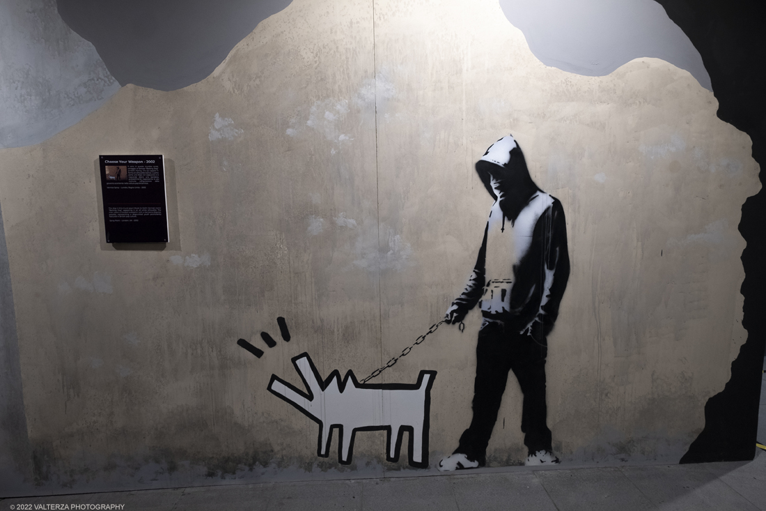 _DSF4650.jpg - 24/02/2022. Torino. Il percorso della mostra presenta oltre 90 opere di cui 30 murales a grandezza naturale realizzati da giovani street artist internazionali che raccontano il mondo del misterioso artista britannico, famoso per affrontare con ironia temi politici e di denuncia sociale. Nella foto opera Choose your weapon 2002