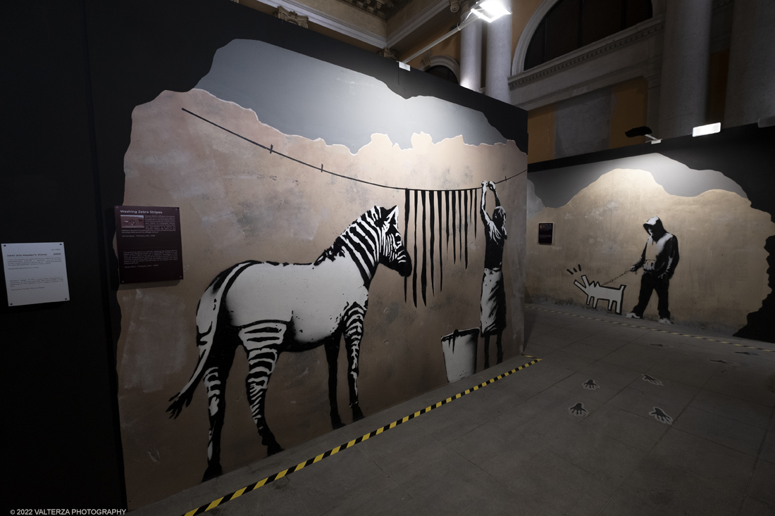 _DSF4694.jpg - 24/02/2022. Torino. Il percorso della mostra presenta oltre 90 opere di cui 30 murales a grandezza naturale realizzati da giovani street artist internazionali che raccontano il mondo del misterioso artista britannico, famoso per affrontare con ironia temi politici e di denuncia sociale. Nella foto parte dell'allestimento della mostra