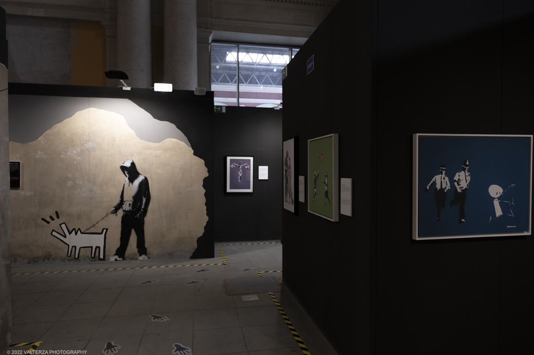_DSF4700.jpg - 24/02/2022. Torino. Il percorso della mostra presenta oltre 90 opere di cui 30 murales a grandezza naturale realizzati da giovani street artist internazionali che raccontano il mondo del misterioso artista britannico, famoso per affrontare con ironia temi politici e di denuncia sociale. Nella foto parte dell'allestimento della mostra