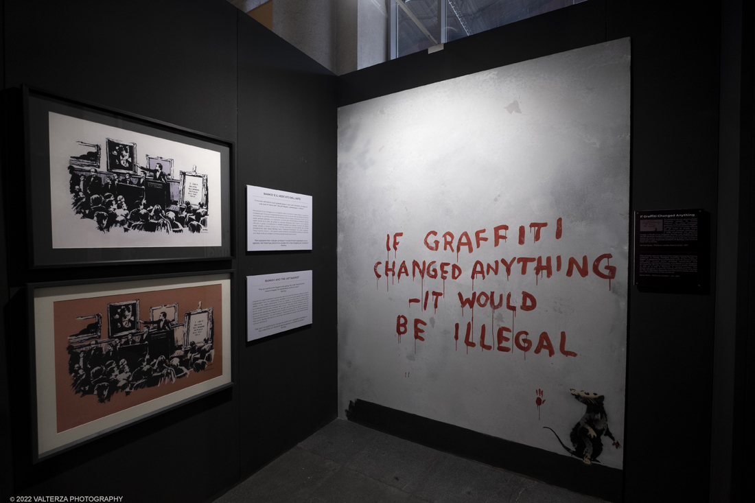 _DSF4728.jpg - 24/02/2022. Torino. Il percorso della mostra presenta oltre 90 opere di cui 30 murales a grandezza naturale realizzati da giovani street artist internazionali che raccontano il mondo del misterioso artista britannico, famoso per affrontare con ironia temi politici e di denuncia sociale. Nella foto parte dell'allestimento della mostra