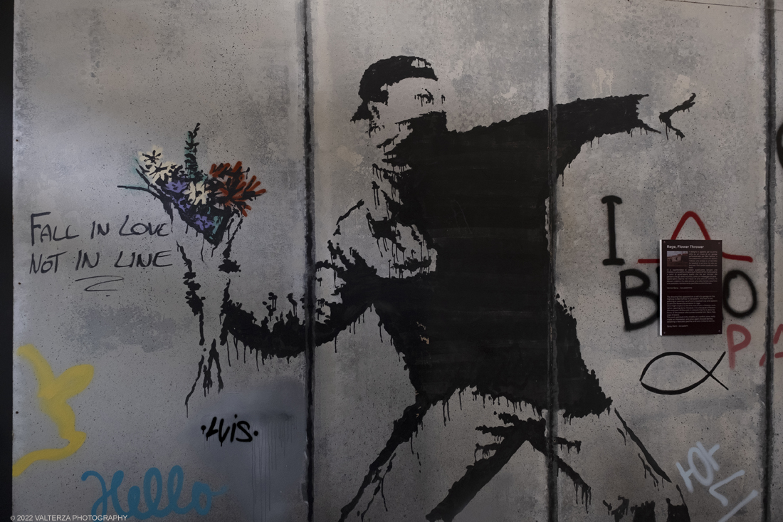 _DSF4830.jpg - 24/02/2022. Torino. Il percorso della mostra presenta oltre 90 opere di cui 30 murales a grandezza naturale realizzati da giovani street artist internazionali che raccontano il mondo del misterioso artista britannico, famoso per affrontare con ironia temi politici e di denuncia sociale. Nella foto opera Rage Flower Thrower