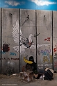 _DSF4859