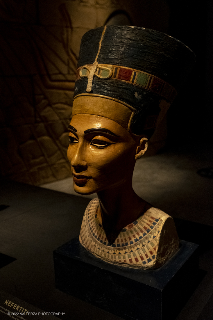 _DSF4019.jpg - 18/02/2022. Torino.Tutankhamon-viaggio verso l'eternitÃ  Ã¨ una mostra realizzata in occasione del centenario della scoperta della tomba, questo grazie alle circa cento riproduzioni dei reperti piÃ¹ importanti portati alla luce dall'archeologo Howard Carter nel 1922. Nella foto testa di Nefertiti
