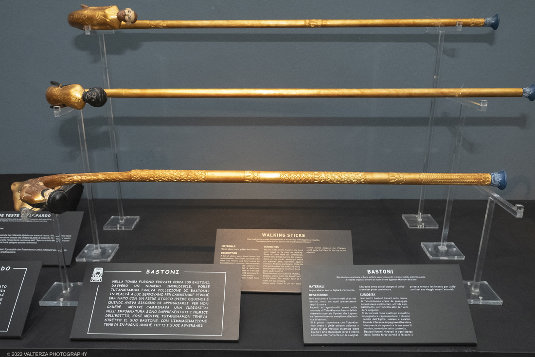 _DSF4087.jpg - 18/02/2022. Torino.Tutankhamon-viaggio verso l'eternitÃ  Ã¨ una mostra realizzata in occasione del centenario della scoperta della tomba, questo grazie alle circa cento riproduzioni dei reperti piÃ¹ importanti portati alla luce dall'archeologo Howard Carter nel 1922. Nella foto tre dei 100 bastoni ritrovati nella tomba
