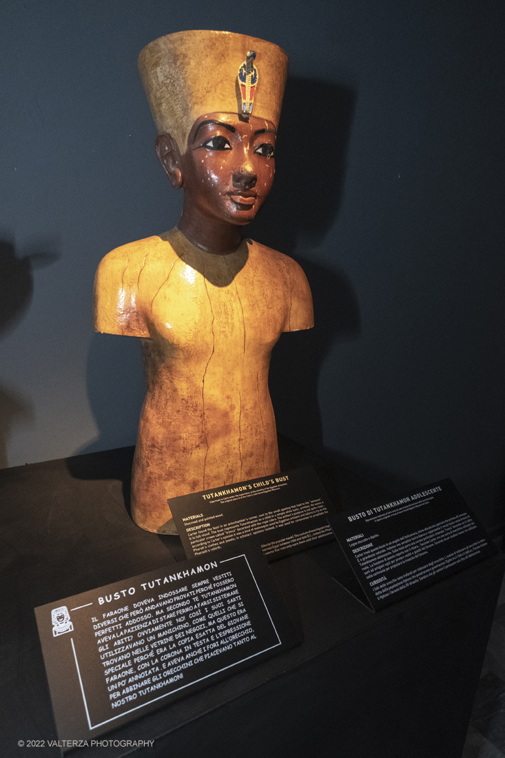 _DSF4099.jpg - 18/02/2022. Torino.Tutankhamon-viaggio verso l'eternitÃ  Ã¨ una mostra realizzata in occasione del centenario della scoperta della tomba, questo grazie alle circa cento riproduzioni dei reperti piÃ¹ importanti portati alla luce dall'archeologo Howard Carter nel 1922. Nella foto busto del faraone adolescente
