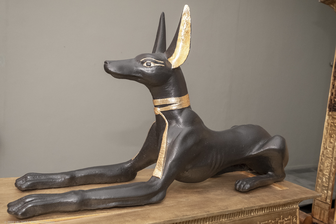 _DSF4237.jpg - 18/02/2022. Torino.Tutankhamon-viaggio verso l'eternitÃ  Ã¨ una mostra realizzata in occasione del centenario della scoperta della tomba, questo grazie alle circa cento riproduzioni dei reperti piÃ¹ importanti portati alla luce dall'archeologo Howard Carter nel 1922. Nella foto arca del Dio Anubi messa a guardia del tesoro di Tutankhamon