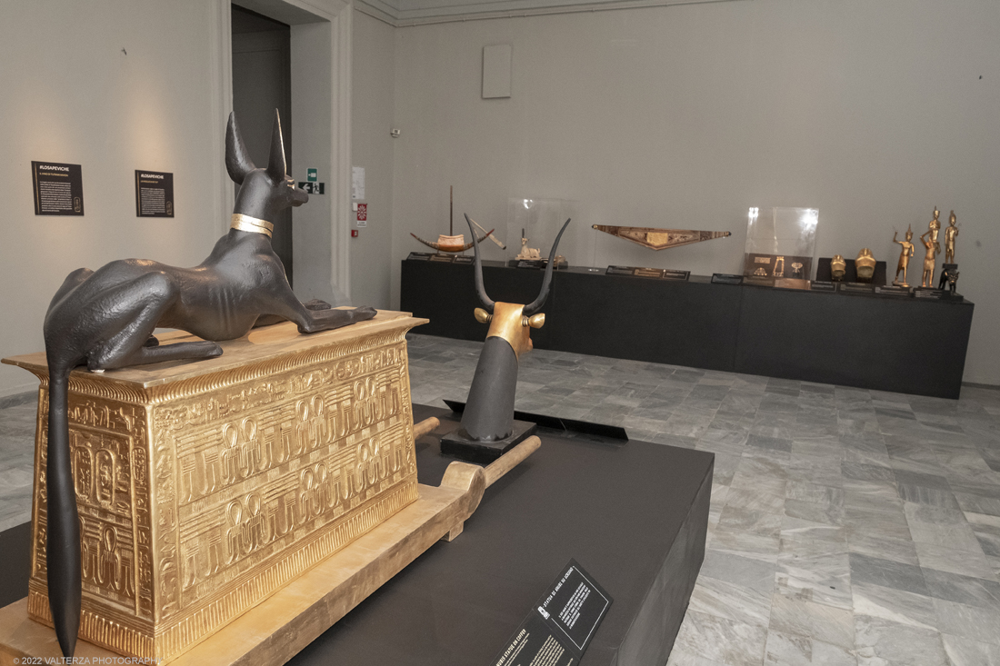 _DSF4246.jpg - 18/02/2022. Torino.Tutankhamon-viaggio verso l'eternitÃ  Ã¨ una mostra realizzata in occasione del centenario della scoperta della tomba, questo grazie alle circa cento riproduzioni dei reperti piÃ¹ importanti portati alla luce dall'archeologo Howard Carter nel 1922. Nella foto arca del Dio Anubi messa a guardia del tesoro di Tutankhamon