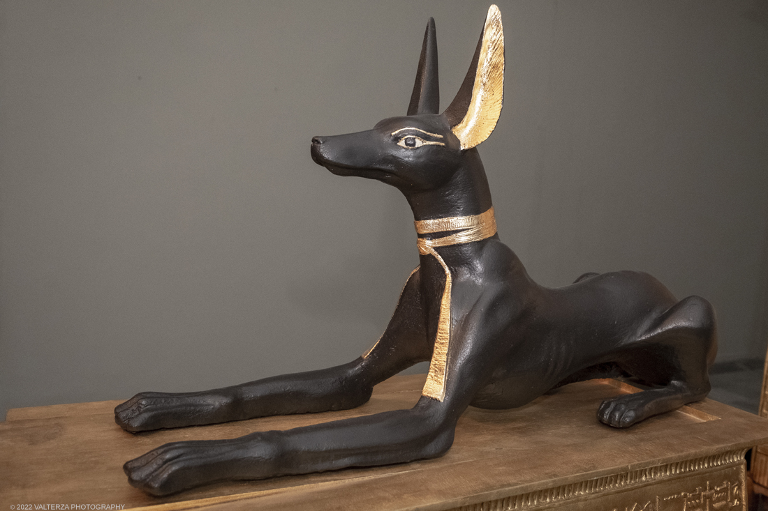 _DSF4300.jpg - 18/02/2022. Torino.Tutankhamon-viaggio verso l'eternitÃ  Ã¨ una mostra realizzata in occasione del centenario della scoperta della tomba, questo grazie alle circa cento riproduzioni dei reperti piÃ¹ importanti portati alla luce dall'archeologo Howard Carter nel 1922. Nella foto arca del Dio Anubi messa a guardia del tesoro di Tutankhamon