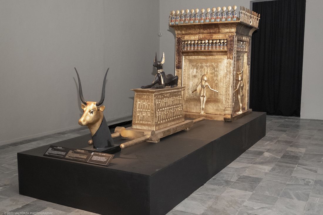 _DSF4305.jpg - 18/02/2022. Torino.Tutankhamon-viaggio verso l'eternitÃ  Ã¨ una mostra realizzata in occasione del centenario della scoperta della tomba, questo grazie alle circa cento riproduzioni dei reperti piÃ¹ importanti portati alla luce dall'archeologo Howard Carter nel 1922. Nella foto arca del Dio Anubi messa a guardia del tesoro di Tutankhamon