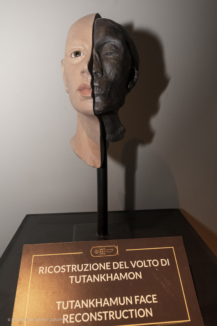 _DSF4307.jpg - 18/02/2022. Torino.Tutankhamon-viaggio verso l'eternitÃ  Ã¨ una mostra realizzata in occasione del centenario della scoperta della tomba, questo grazie alle circa cento riproduzioni dei reperti piÃ¹ importanti portati alla luce dall'archeologo Howard Carter nel 1922. Nella foto ricostruzione del volto di Tutankhamon
