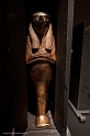 _DSF4293