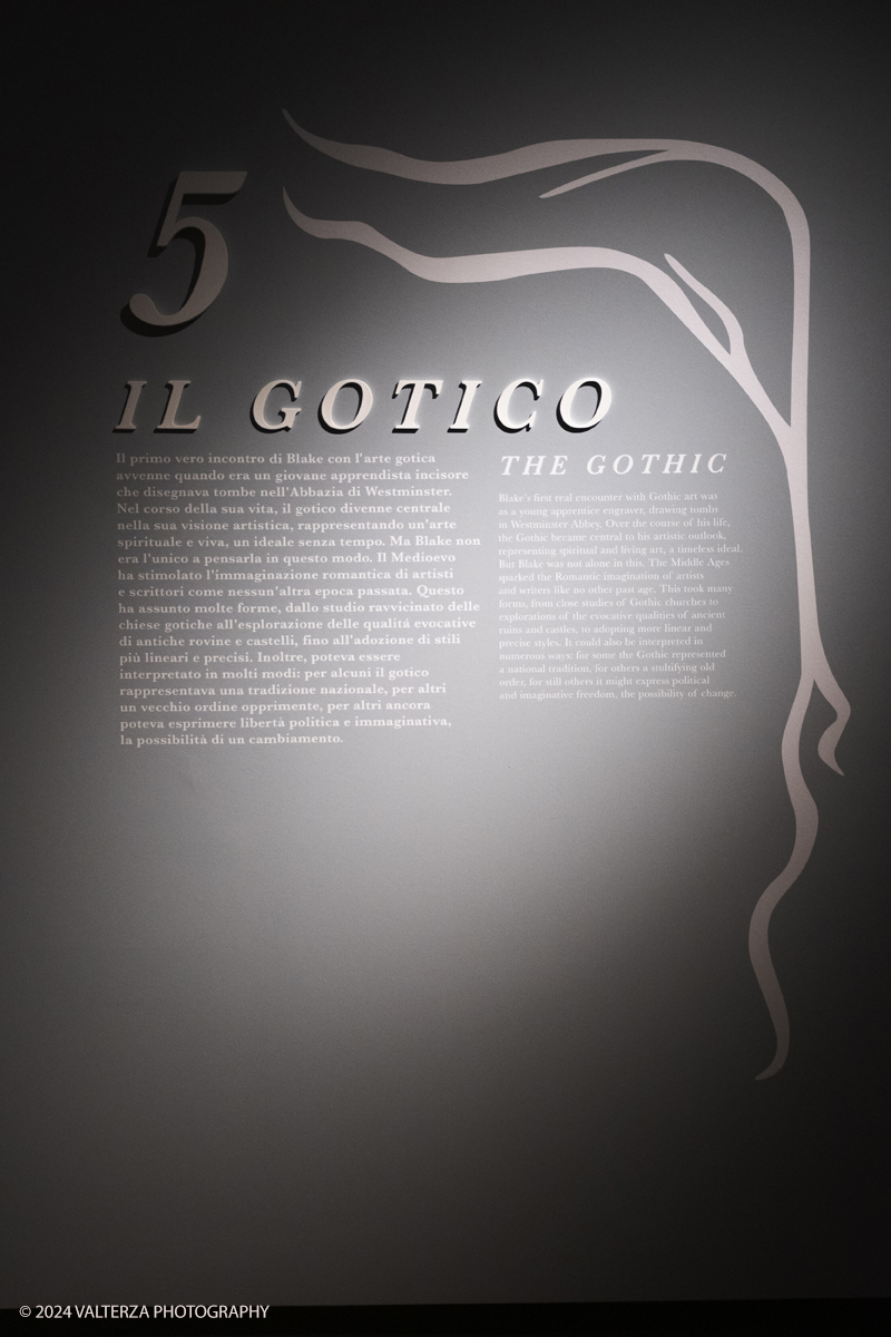 _DSF7214.jpg - Willia Blake and his era: an exhibition at the Reggia di Venaria . Part of the installation