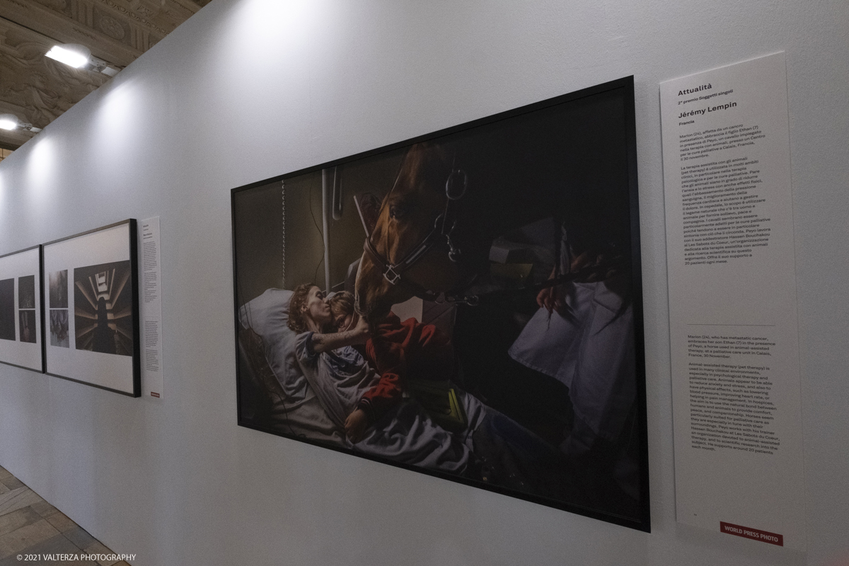 _DSF4706.jpg - 7/05/2021. Torino. Palazzo Madama ospita l'anteprima nazionale della mostra World Press Photo 2021. Nella foto in pp l'immagine del francese Jeremy Lempin 2Â° premio nella sezione AttualitÃ -soggetti singoli