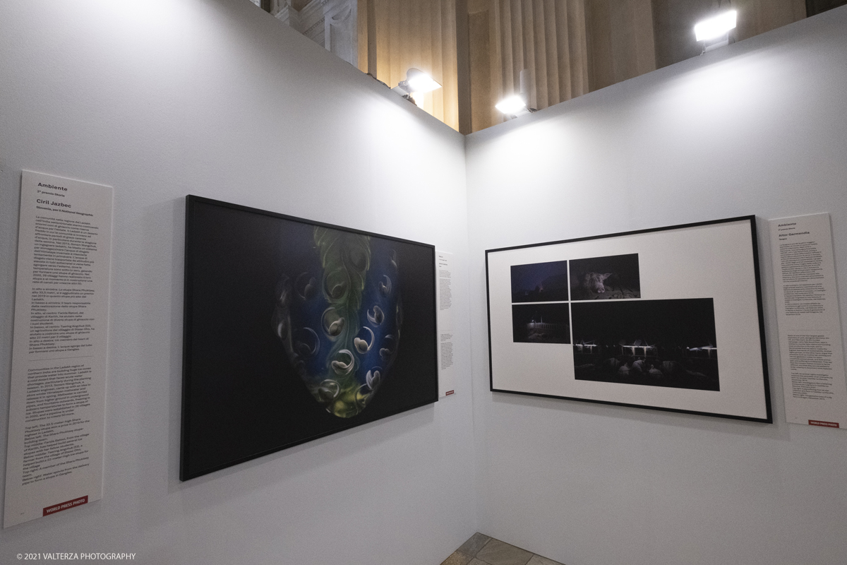 _DSF4725.jpg - 7/05/2021. Torino. Palazzo Madama ospita l'anteprima nazionale della mostra World Press Photo 2021. Nella foto immagini premiate nelle sezioni ambiente e natura.