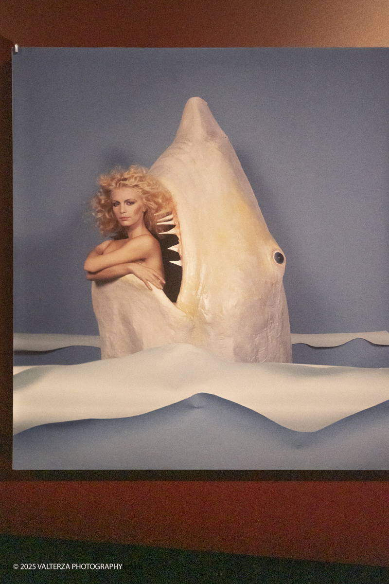 _DSF0541.jpg - 20/09/2025: Torino. Oltre il ’68: icone pop nelle fotografie di Angelo Frontoni. Le immagini in mostra, scattate principalmente per servizi fotografici a uso giornalistico, sfidano il tempo e chiamano in causa il nostro modo di vedere l’altro e di rappresentarci. Nella foto Patty Pravp