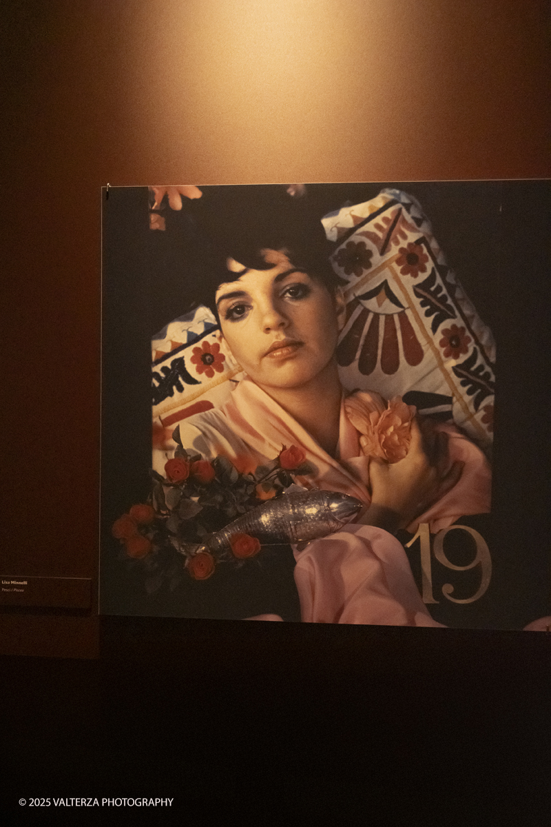 _DSF0881.jpg - 20/09/2025: Torino.  Mostra: Pazza Idea. Oltre il ’68: icone pop nelle fotografie di Angelo Frontoni. Le immagini in mostra, scattate principalmente per servizi fotografici a uso giornalistico, sfidano il tempo e chiamano in causa il nostro modo di vedere l’altro e di rappresentarci. Nella foto Liza Minnelli