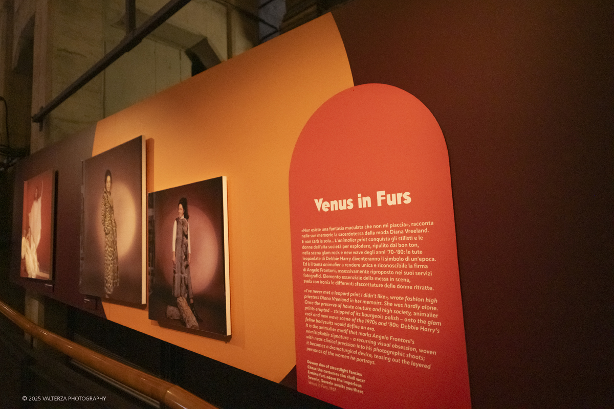 _DSF0940.jpg - 20/09/2025: Torino.  Mostra: Pazza Idea. Oltre il ’68: icone pop nelle fotografie di Angelo Frontoni. Le immagini in mostra, scattate principalmente per servizi fotografici a uso giornalistico, sfidano il tempo e chiamano in causa il nostro modo di vedere l’altro e di rappresentarci. Nella foto parte dell'allestimento