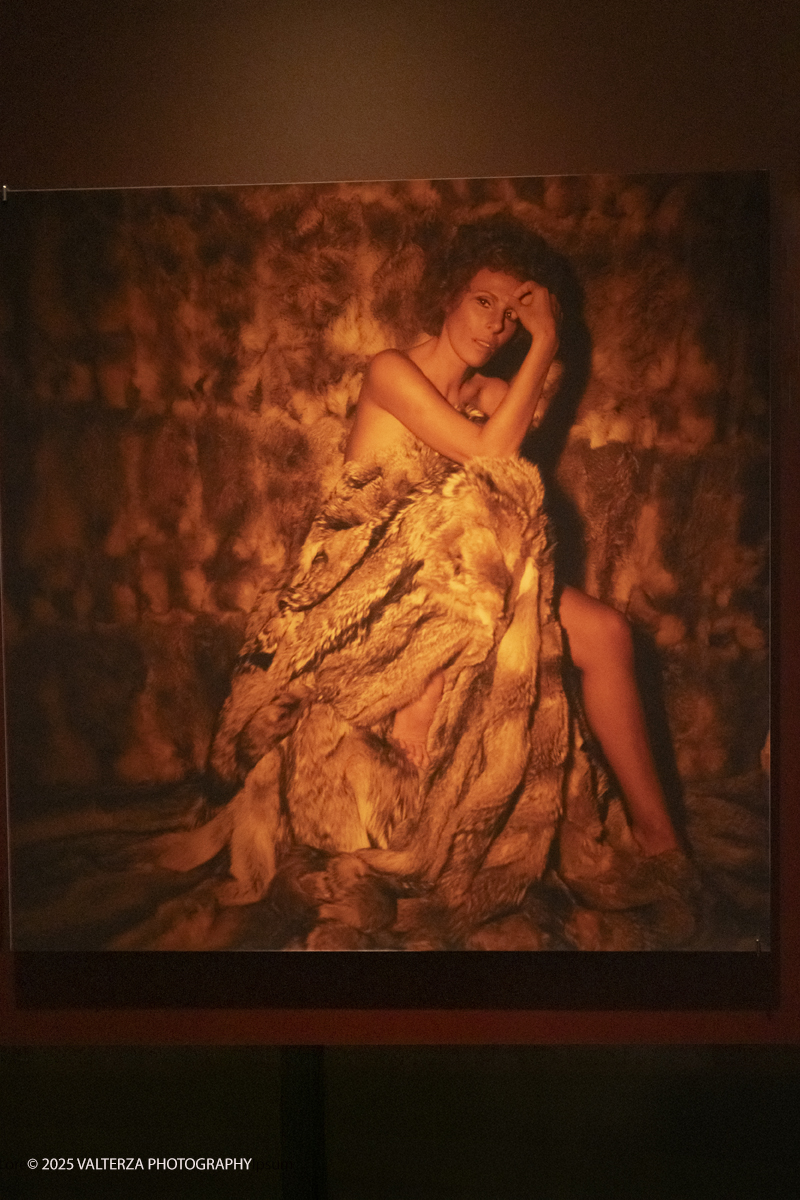 _DSF0979.jpg - 20/09/2025: Torino.  Mostra: Pazza Idea. Oltre il ’68: icone pop nelle fotografie di Angelo Frontoni. Le immagini in mostra, scattate principalmente per servizi fotografici a uso giornalistico, sfidano il tempo e chiamano in causa il nostro modo di vedere l’altro e di rappresentarci. Nella foto