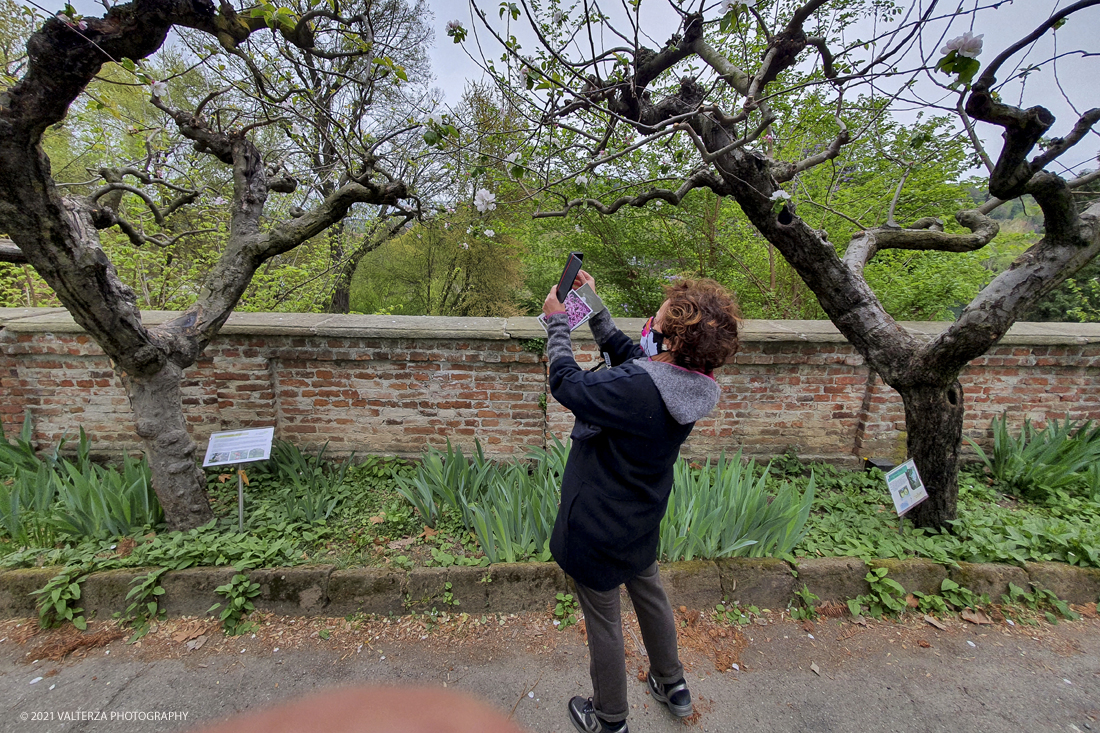 20210410_155312.jpg - Visita all'orto Botanico in occasione dell'apertura per la  Mostra mercato di piante riprodotte nell'Orto Botanico. Nella foto, visita al giardino dell'orto botanico