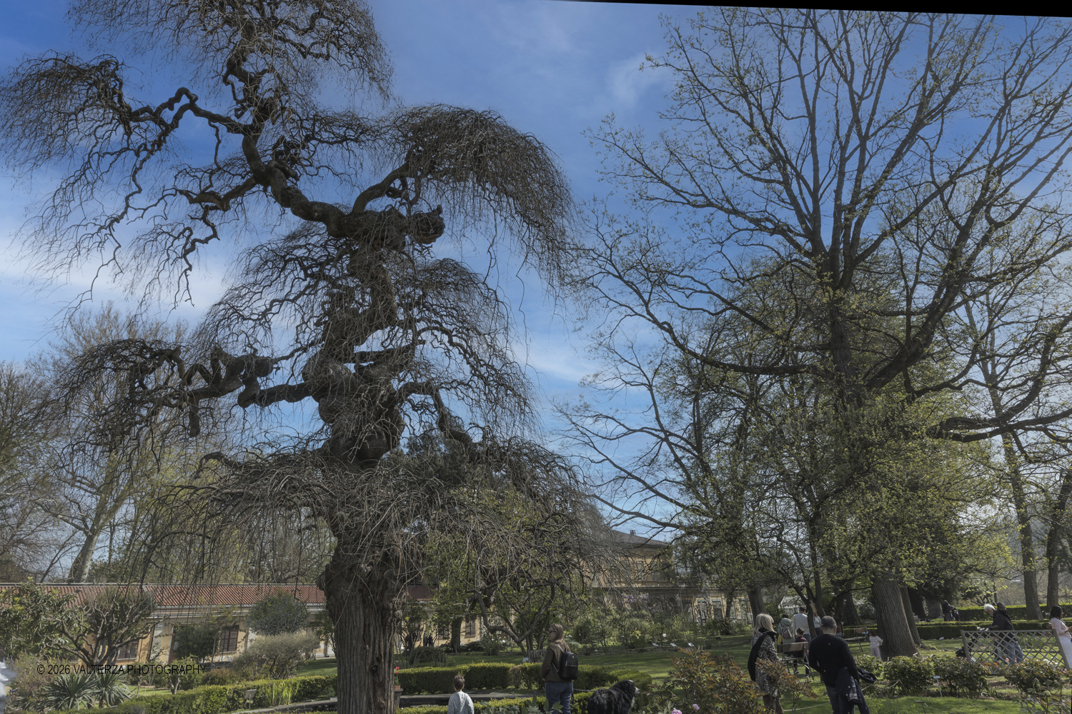 _Z3A2564.jpg - 06/04/2026. Torino. Lâ€™Orto Botanico di Torino Ã¨ stato istituito nel 1729 per volere di Vittorio Amedeo II, allo scopo di coltivare e far conoscere le piante, i loro usi, la loro origine e le loro caratteristiche ecologiche. Nella foto Parte del Giardino, situato tra lâ€™edificio del Dipartimento di Scienze della Vita e Biologia dei Sistemi e il Castello del Valentino , Ã¨ organizzato in aiuole tematiche suddivise per famiglie botaniche. In questâ€™area sono presenti circa 152 famiglie e 1446 entitÃ  botaniche.