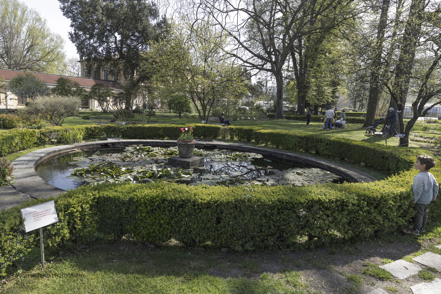 _Z3A2568.jpg - 06/04/2026. Torino. Lâ€™Orto Botanico di Torino Ã¨ stato istituito nel 1729 per volere di Vittorio Amedeo II, allo scopo di coltivare e far conoscere le piante, i loro usi, la loro origine e le loro caratteristiche ecologiche. Nella foto Parte del Giardino, situato tra lâ€™edificio del Dipartimento di Scienze della Vita e Biologia dei Sistemi e il Castello del Valentino , Ã¨ organizzato in aiuole tematiche suddivise per famiglie botaniche. In questâ€™area sono presenti circa 152 famiglie e 1446 entitÃ  botaniche.
