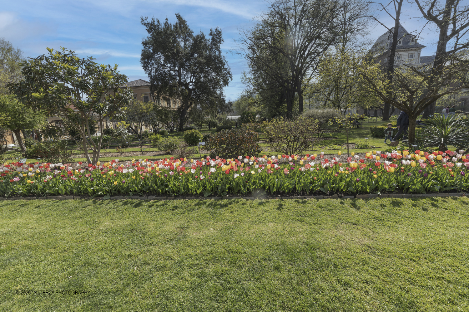 _Z3A2571.jpg - 06/04/2026. Torino. Lâ€™Orto Botanico di Torino Ã¨ stato istituito nel 1729 per volere di Vittorio Amedeo II, allo scopo di coltivare e far conoscere le piante, i loro usi, la loro origine e le loro caratteristiche ecologiche. Nella foto Parte del Giardino, situato tra lâ€™edificio del Dipartimento di Scienze della Vita e Biologia dei Sistemi e il Castello del Valentino , Ã¨ organizzato in aiuole tematiche suddivise per famiglie botaniche. In questâ€™area sono presenti circa 152 famiglie e 1446 entitÃ  botaniche.
