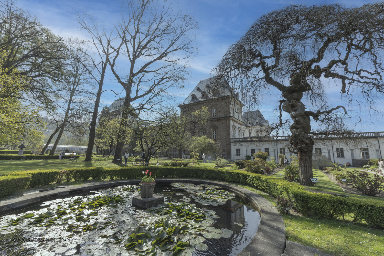_Z3A2581.jpg - 06/04/2026. Torino. Lâ€™Orto Botanico di Torino Ã¨ stato istituito nel 1729 per volere di Vittorio Amedeo II, allo scopo di coltivare e far conoscere le piante, i loro usi, la loro origine e le loro caratteristiche ecologiche. Nella foto Parte del Giardino, situato tra lâ€™edificio del Dipartimento di Scienze della Vita e Biologia dei Sistemi e il Castello del Valentino , Ã¨ organizzato in aiuole tematiche suddivise per famiglie botaniche. In questâ€™area sono presenti circa 152 famiglie e 1446 entitÃ  botaniche.