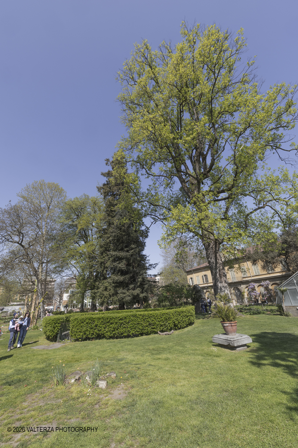 _Z3A2685.jpg - 06/04/2026. Torino. Lâ€™Orto Botanico di Torino Ã¨ stato istituito nel 1729 per volere di Vittorio Amedeo II, allo scopo di coltivare e far conoscere le piante, i loro usi, la loro origine e le loro caratteristiche ecologiche. Nella foto Parte del Giardino, situato tra lâ€™edificio del Dipartimento di Scienze della Vita e Biologia dei Sistemi e il Castello del Valentino , Ã¨ organizzato in aiuole tematiche suddivise per famiglie botaniche. In questâ€™area sono presenti circa 152 famiglie e 1446 entitÃ  botaniche.