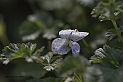 _G3I2648
