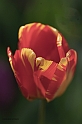 _G3I2673