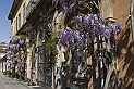_Z3A2674