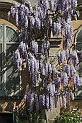 _Z3A2681