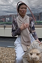 _DSF5399