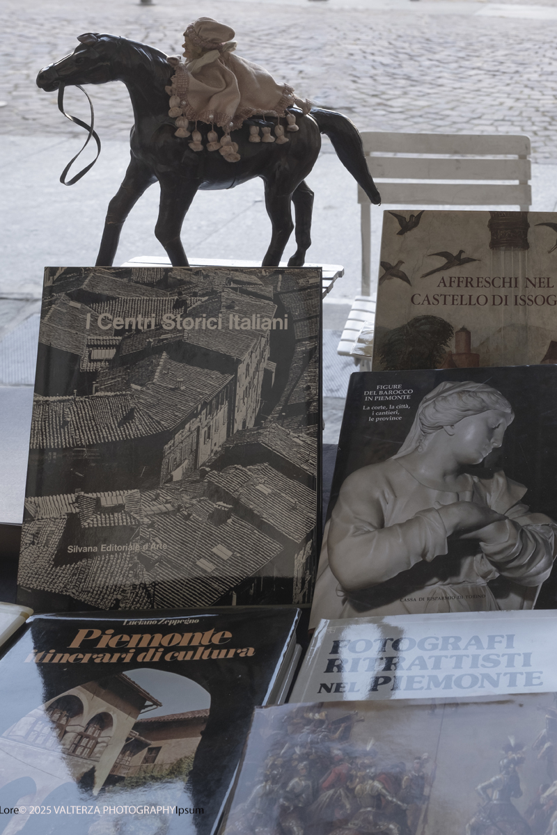 DSCF0092.jpg - 04/10/205. Torimo. Torino ha appena festeggiato il 18° compleanno di Portici di Carta, l'evento che da quasi due decenni trasforma il centro città in una grande libreria a cielo aperto ì, nella foto epositori e visitatori in Piazza Vittorio