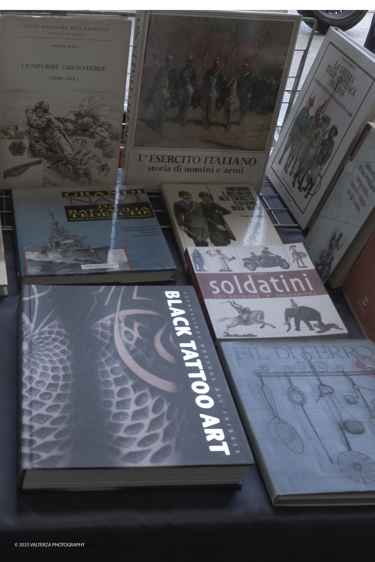 DSCF0099.jpg - 04/10/205. Torimo. Torino ha appena festeggiato il 18° compleanno di Portici di Carta, l'evento che da quasi due decenni trasforma il centro città in una grande libreria a cielo aperto ì, nella foto epositori e visitatori in Piazza Vittorio